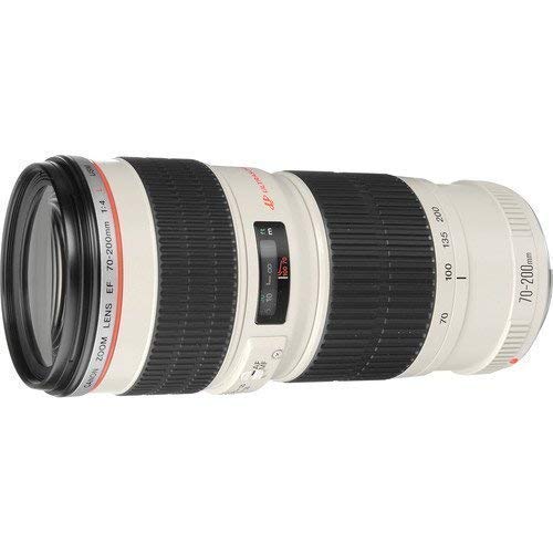 Amazon.com : Canon EF 70-200mm f/4L USM Telephoto Zoom Lens